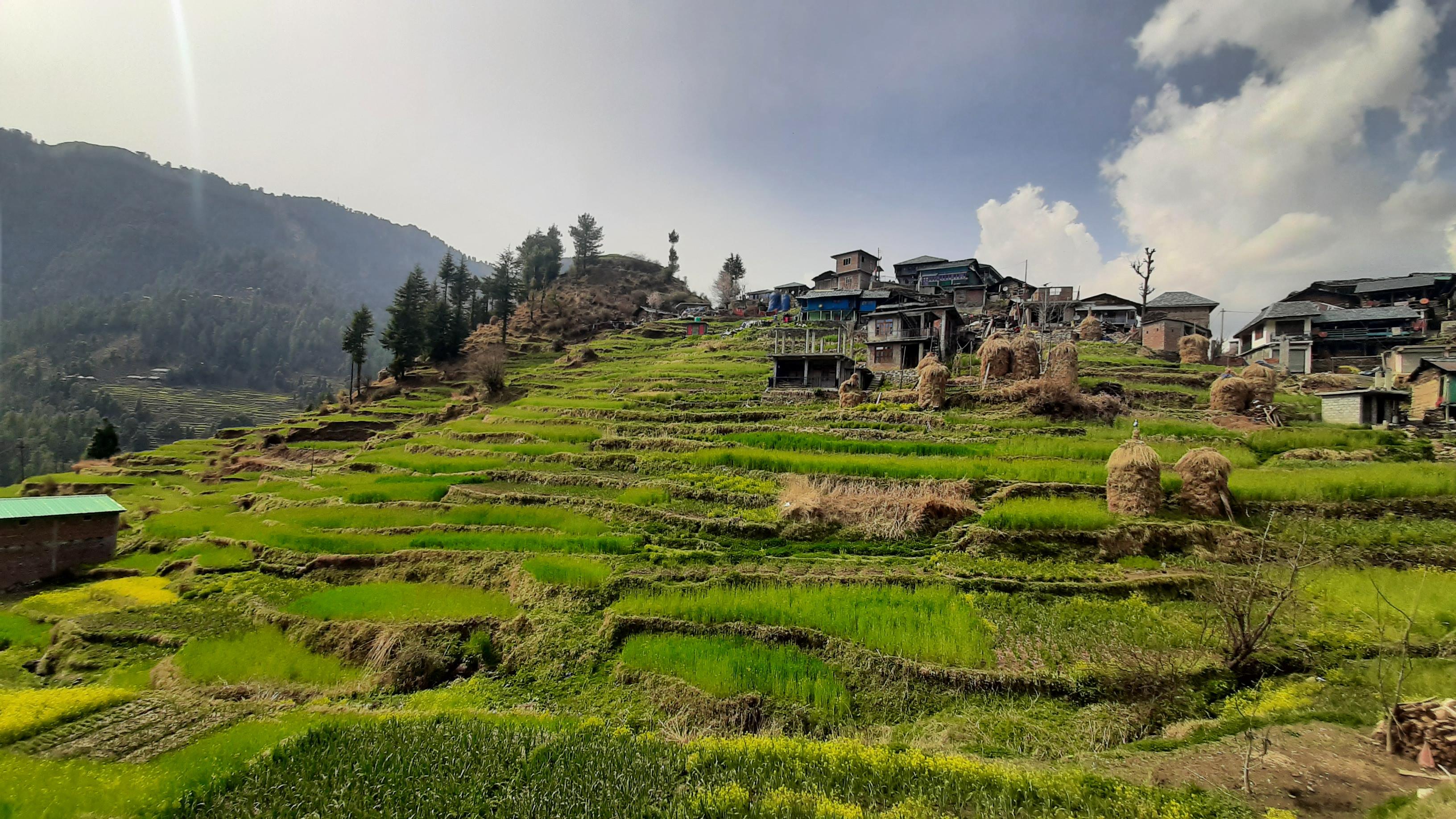 Barot Valley